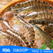 HL002 frozen seafood big shrimp